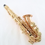 Yanagisawa AW020 Bronze Pro Alto Sax