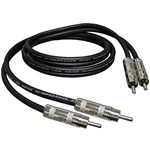 RAPCOI DC-10-I Rapco DC-10 10' Dual RCA Cable