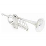 YAMAHA  Yam. Xeno YTR-8335IIGS Trumpet Silver