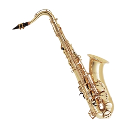 Eastman Strings EASBRVO Eastman Bravo Series ALTO SAX