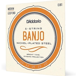 D'Addario- Fret EJ61 D'Addario Banjo Medium