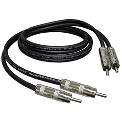 RAPCOI DC-10-I Rapco DC-10 10' Dual RCA Cable