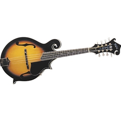 WASHBURN  Washburn Mandolin M3SWK-D w/ case