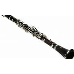 YAMAHA  Yamaha Inter. Clarinet YCL-450NM