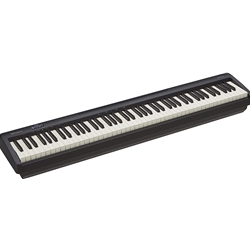 Roland FP-10-BK Digital Piano